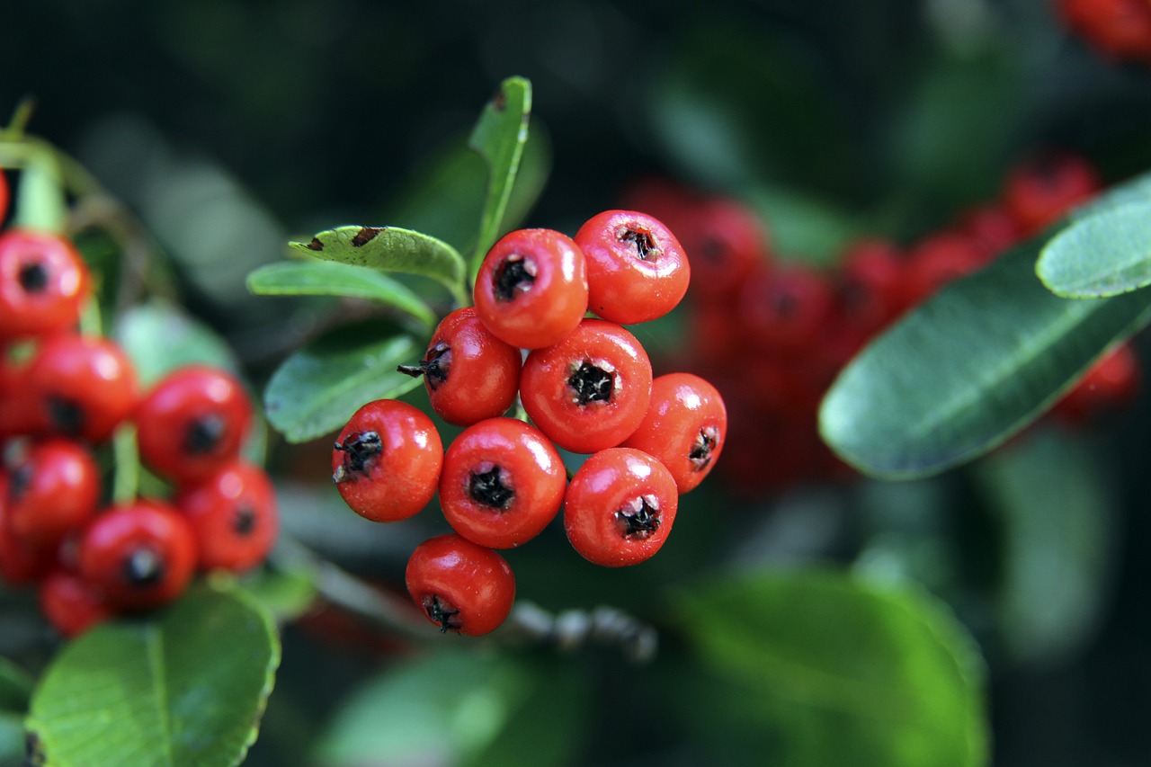 命运的终结 命运的终结