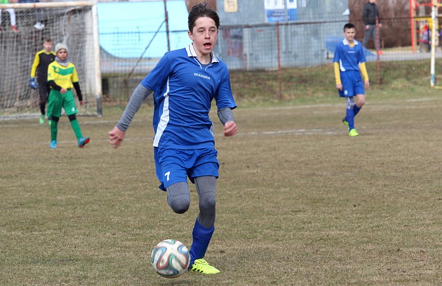 森林狼与活 森林狼与活