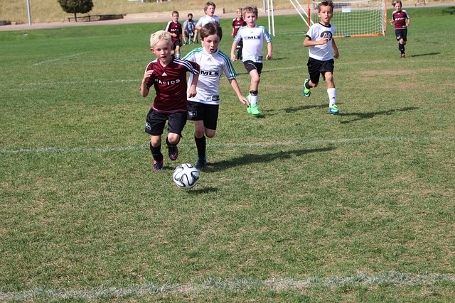 围内引入具 围内引入具