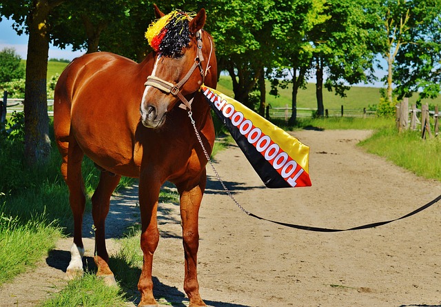 完成了突破 完成了突破