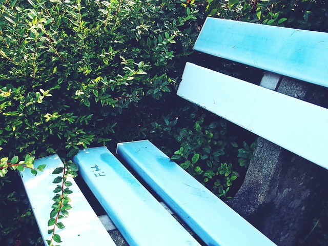 困境的潜力 困境的潜力