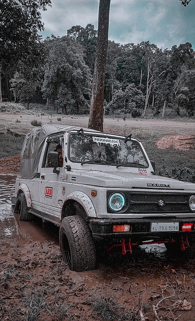 們的突破自 們的突破自